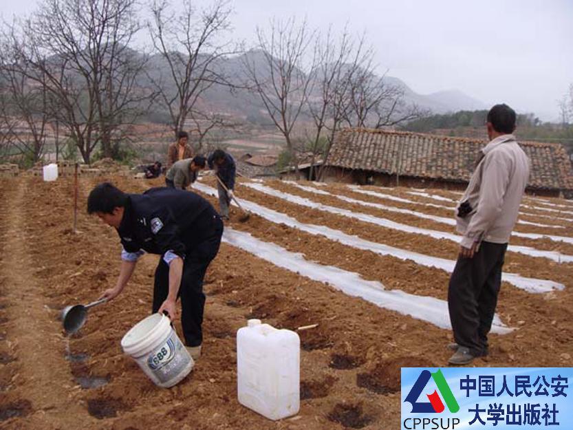 按住Ctrl键+鼠标滚轮缩放