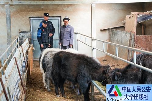 按住Ctrl键+鼠标滚轮缩放